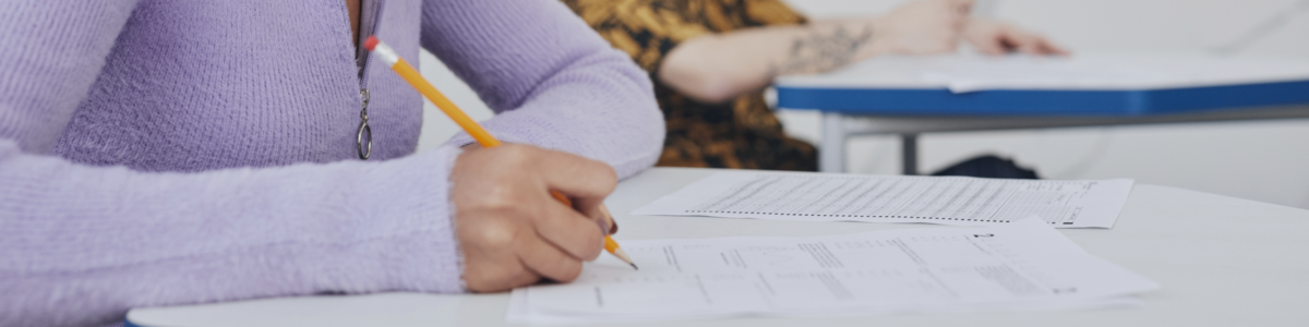 Digital Humanities Umfrage